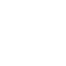 white-flower-vector